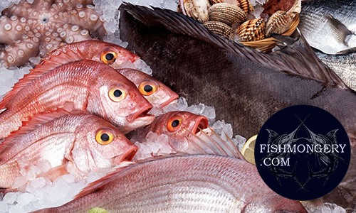 Fishmongery-online-Fish-Shop